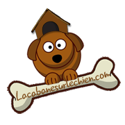 lacabanesurlechien.com